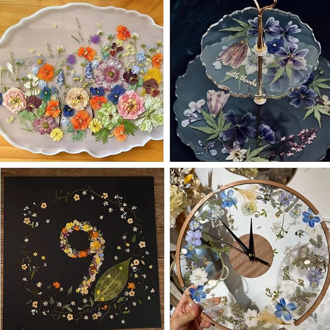 Dried Pressed Flowers - Image 6