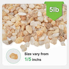5 lbs Coarse Sand for Plants, 1/5 Inch Horticultural Sand for Succulents - Image 2