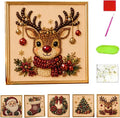 Oanruyan Christmas Pearl Diamond Painting Art Kit by Oanruyan