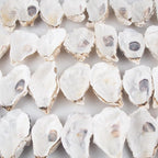 QEQEKAKA 30PCS Oyster Shells Flat & Concave 5"-6" Extra Large Oyster Shells - Image 5