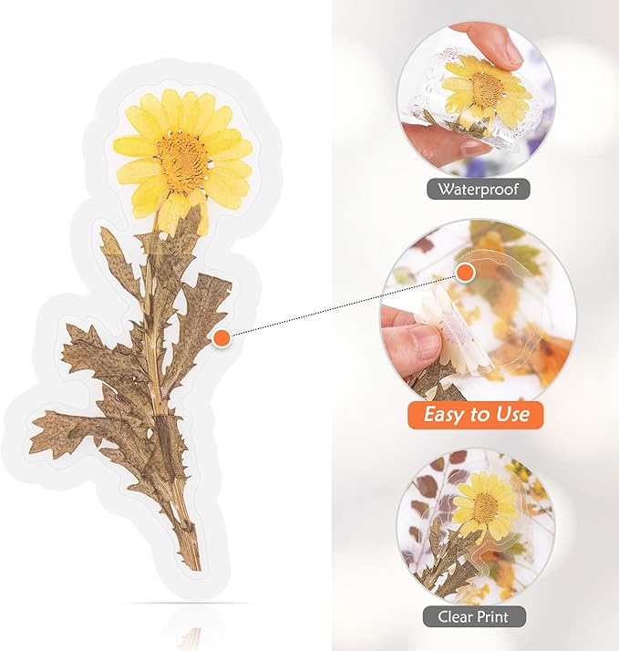 160pcs Pre-Cut Scrapbooks Natural Stickers, Floral and Plant Sticker - Image 3