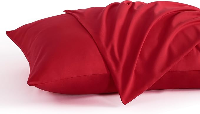 NTBAY Queen Pillow Cases Set of 2, 2 Pack Brushed Microfiber 20x30 Pillow Cases by NTBAY