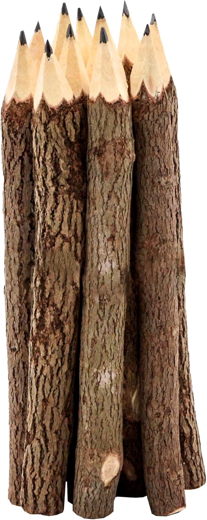 BSIRI Natural Twigs Wooden Pencils Handcrafted Suitable - Image 2