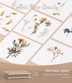 Wakhow Flower Press Kit – 11" x 11" Large Wooden Flower Presser - Image 2