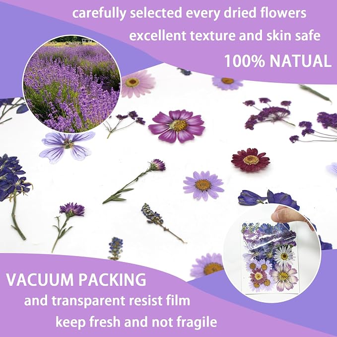 Purple Dried Pressed Flowers Real Natural Petals Bulk - Image 4
