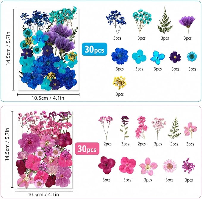 210 pcs Dried Flowers for Resin, Natural Flowers and Leaves Kit - Image 3