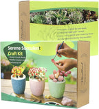 Microland Crafts for Teens Succulents Flower Making Kit, Teen Crafts Air Dry - Image 7