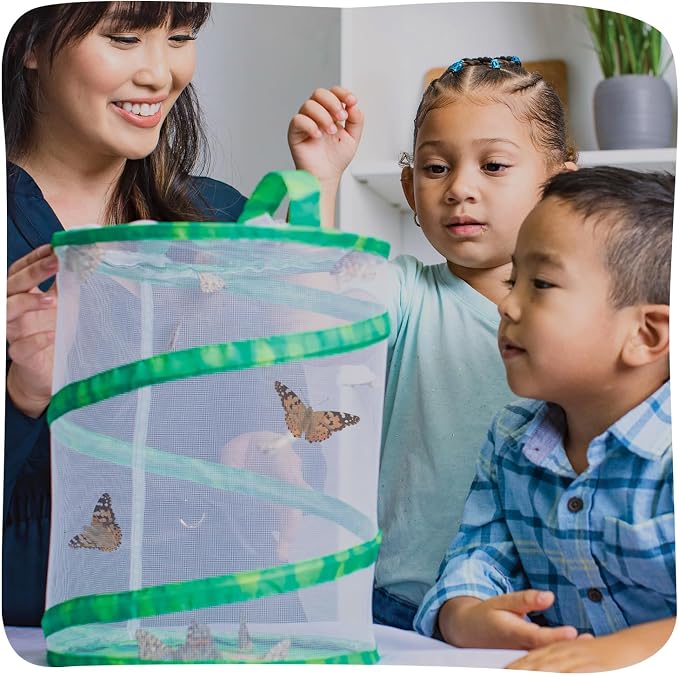 Insect Lore Raise and Release Butterfly Garden Kit – Caterpillar Habitat - Image 3