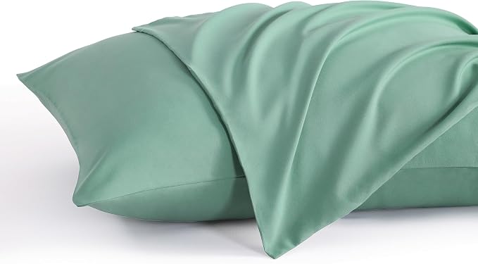 NTBAY Standard Pillow Cases Set of 2, 2 Pack Brushed Microfiber 20x26 Pillow by NTBAY