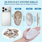30PCS 4"-5" Flat Oyster Shells, Large Natural Oyster Shells - Image 2