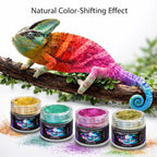 BALTIC DAY - Chameleon Mica Powder, 8 Jars of Color Shift Mica Set - Epoxy - Image 4