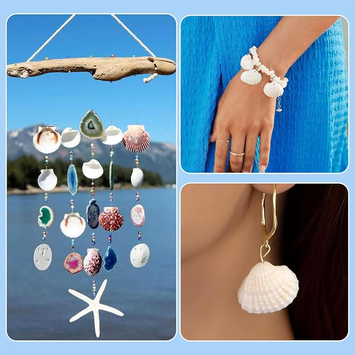 Beadthoven Box of 117pcs Natural Clam Shell Pendants 21.5-24.5x8.5-11.5 Beach - Image 6