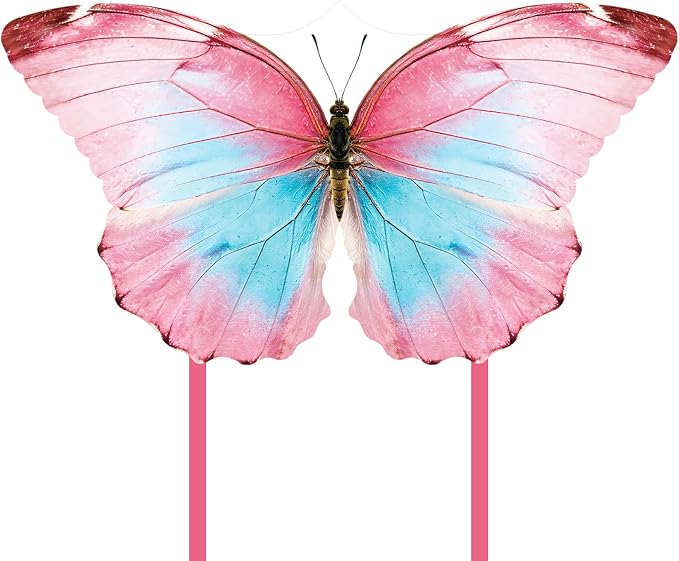Butterfly Kite for Kids & Adults, Outdoor Kite, Grassy Areas by Unknown