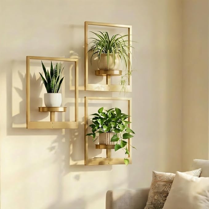 Picture Frame Wall Planters Set of 3, Modern Metal Hanging Shelves by Bbteroiu