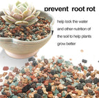 TOYPOPOR Mix Horticultural Lava Rock Pebbles Pumice Potting Soil Amendment - Image 3