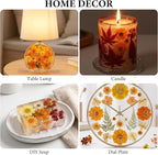 NESCCI 277 Pcs Autumn Dried Flowers - Image 6