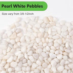 Pulovin 2.5 lbs White Pebbles for Vases, 3/8" Small Plant Stones for Pots Indoor - Image 2