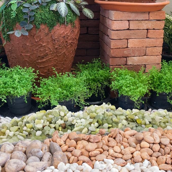 YISZM 10LB Succulent and Cactus Pebbles, 1/5 Inch Jade Natural Decorative - Image 4