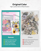 Dried Flowers, Resiners 174Pcs Pressed Flowers - Image 6