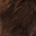 Faux Fake Fur Long Pile Luxury Shaggy/Craft, Decorations / 60" Wide/Sold by The by FabricEmpire