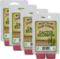Our Own Candle Company Premium Wax Melt, Cactus Blossom Scent,Handmade in The USA, 24 Cubes (4 Pack, 9.6oz Total)