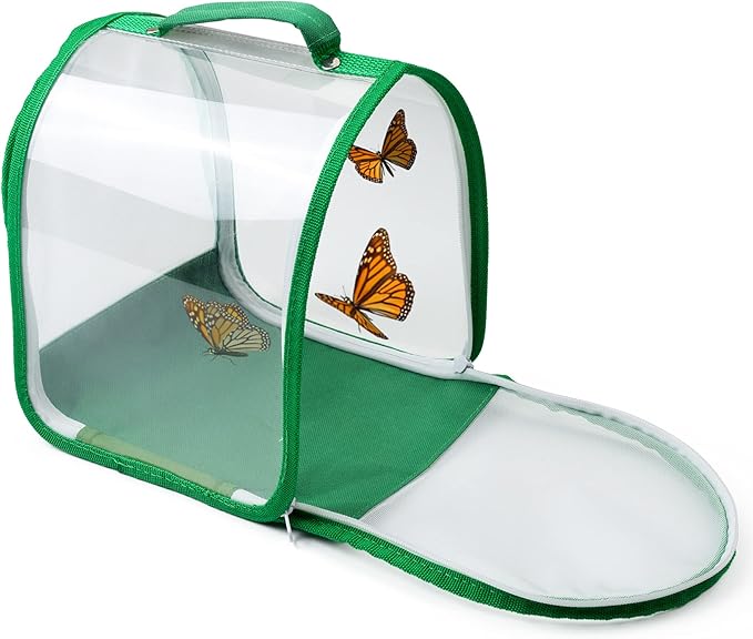 Small Butterfly Habitat, Insect Mesh Cage, Caterpillar Enclosure, Critter Cage by RESTCLOUD