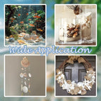 Natural Mixed Seashells Conch Starfish Sea Glass 1-2.8 Inch, 16.5 OZ | Bulk - Image 6