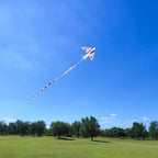 Large Single Line Beach Kite for Adults - Image 3