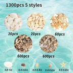 1300Pcs Tiny Sea Shells Mini Small Clam Cowrie Starfish - Image 2