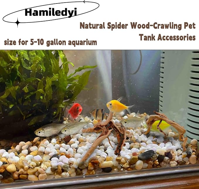 Hamiledyi 6PCS Aquarium Driftwood 6-8in Natural Spider Wood Branches Reptiles - Image 3