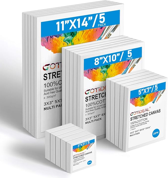 Gotideal Canvas for Painting, Blank Painting Canvases for Acrylic, Art Supplies by GOTIDEAL