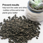 TOYPOPOR 6lb Black Lava Rock for Plants, Natural Horticultural Volcanic Grit - Image 5