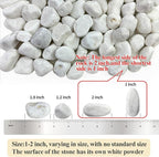FANTIAN 40 lbs White Rocks for Landscaping, 1-2 Inch White Gravel. Decorative - Image 3