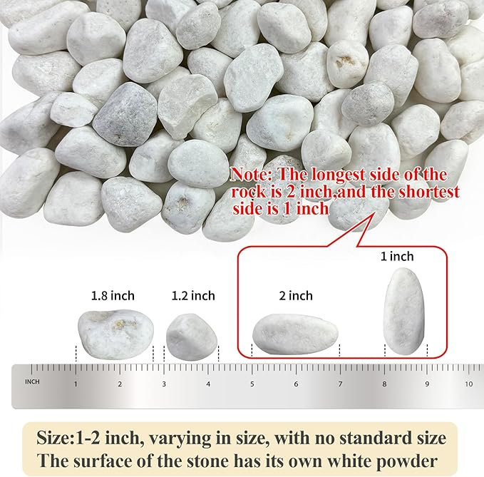 FANTIAN 40 lbs White Rocks for Landscaping, 1-2 Inch White Gravel. Decorative - Image 3
