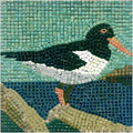Roman Mosaic Art Kits for Adults: Learn the Art of Mosaics, Square 7inch Seagull by ALEA+Mosaic