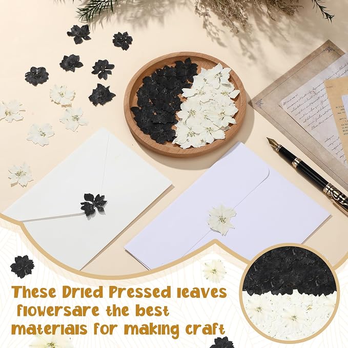 Woanger 100 pcs Dried Pressed Flowers Small Dry Flowers Real Natural Resin - Image 4