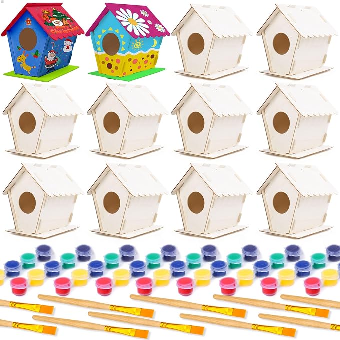 hapray 12 Pack Bird House Kit, DIY Birdhouse Kits, Wooden Crafts Arts by hapray