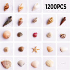 1200 PCS Tiny Sea Shells &10 Small Starfish - Image 2