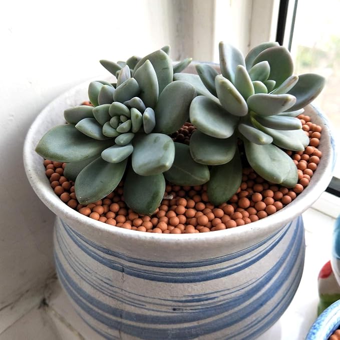 Clay Pebbles Gardening Ceramsite Orchid Hydroponic Grow Media Clay Rocks - Image 5