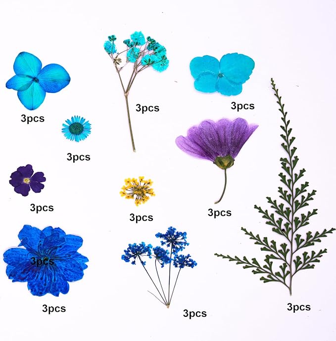 30Pcs Dried Pressed Flowers for Resin DIY Art Crafts Natural Dry Leaves Daisy - Image 5