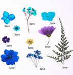 30Pcs Dried Pressed Flowers for Resin DIY Art Crafts Natural Dry Leaves Daisy - Image 5