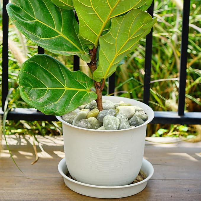 YISZM 40lbs Jade River Rocks for Landscaping, 1-2 Inch Natural Pebbles for - Image 6