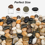 Succulent Rocks, Virekm River Rocks, Decorative Ornamental Pebbles Garden - Image 2