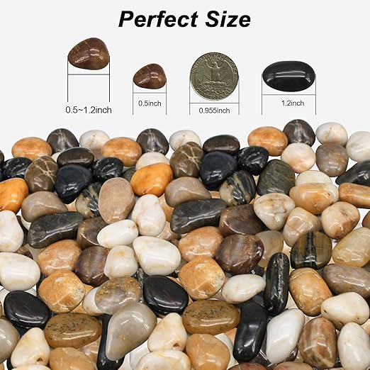 Succulent Rocks, Virekm River Rocks, Decorative Ornamental Pebbles Garden - Image 2