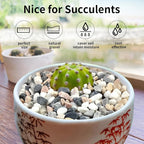 FANTIAN 2 lbs Succulent and Cactus Pebbles Gravel, 3/8 Inch Mixed Color - Image 4