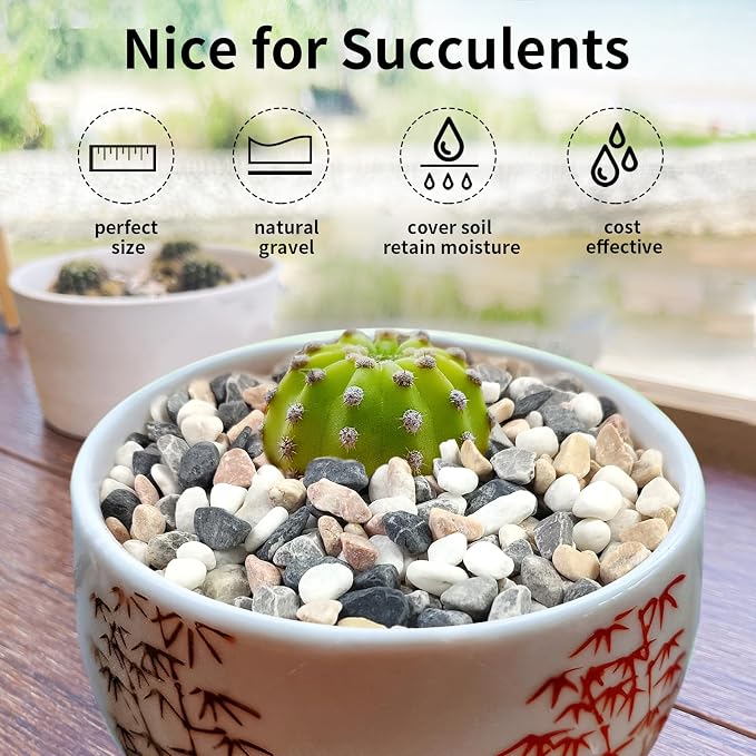 FANTIAN 2 lbs Succulent and Cactus Pebbles Gravel, 3/8 Inch Mixed Color - Image 4