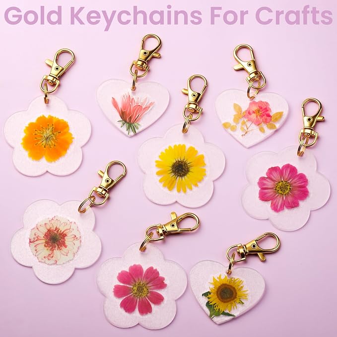 LEOBRO 60PCS Lobster Claw Clasps and Key Rings, Keychain Making kit, Keychains - Image 3