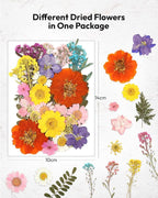 Dried Flowers, Resiners 174Pcs Pressed Flowers - Image 5