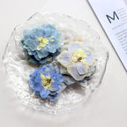 48 Pcs Dried Pressed Flowers for Resin DIY Art Crafts Natural Dry Sakura - Image 5