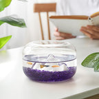 T4U Aquarium Gravel Rocks, succulent top dressing, vase filler, terrariums and - Image 2